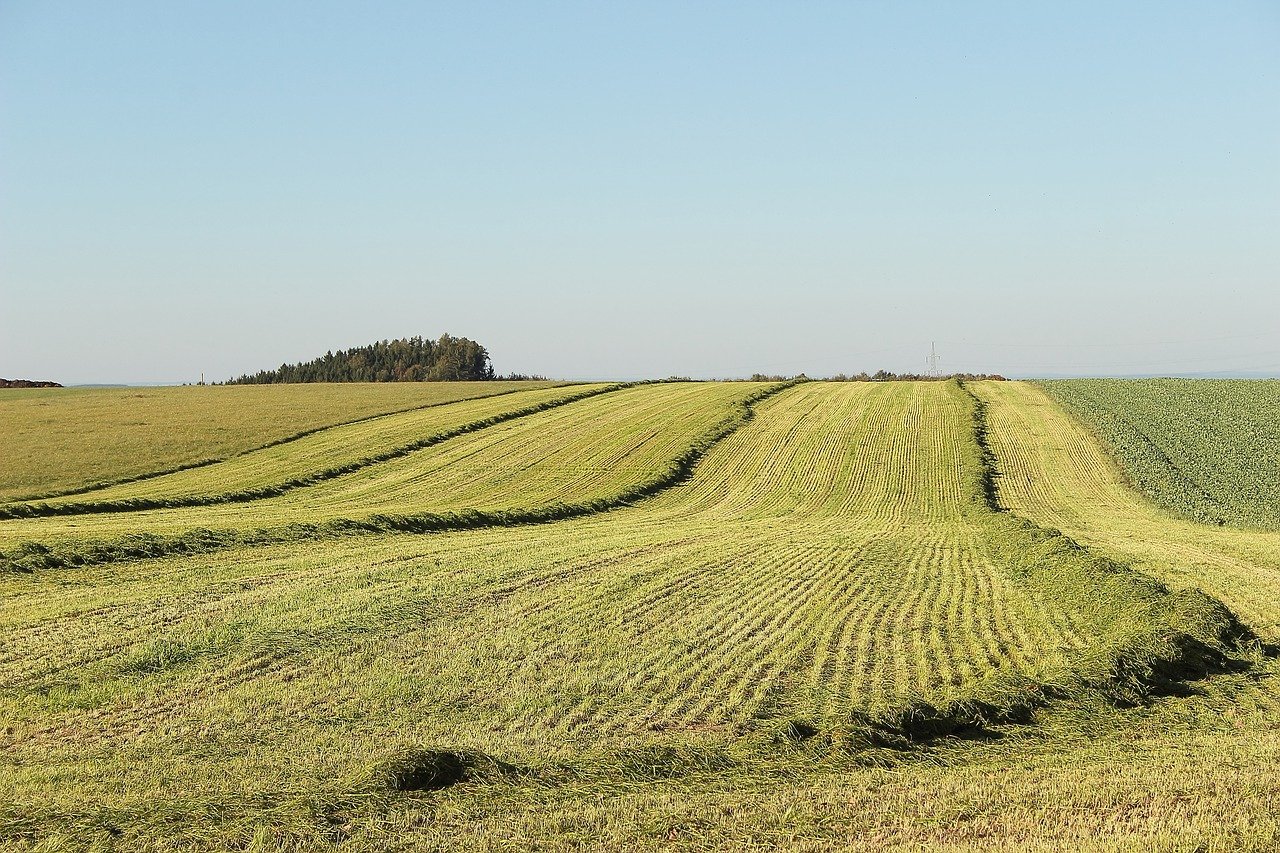 AI-Driven Crop Monitoring Technologies