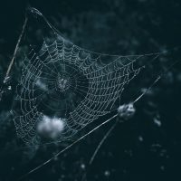 What AI Says About the Dark Web