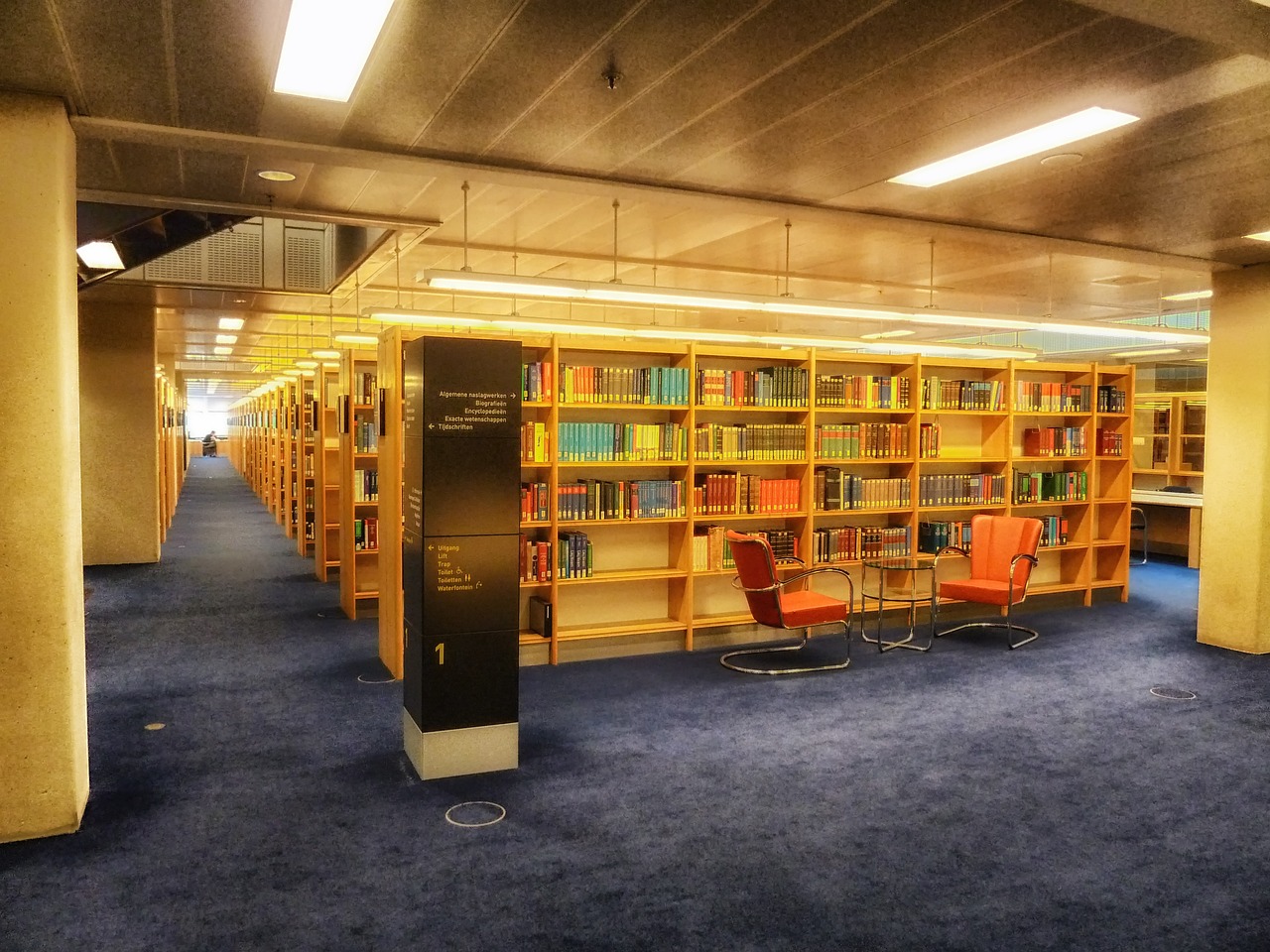 Challenges Facing Modern Libraries